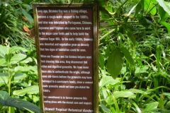 Hillo Tropical Garden - 0026