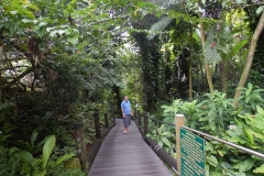 Hillo Tropical Garden - 0033